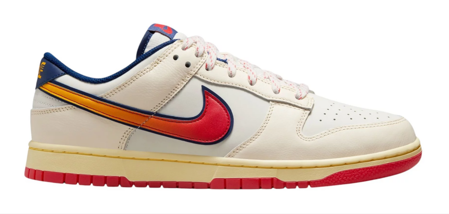 Nike Men's Dunk Low Retro SE Shoes